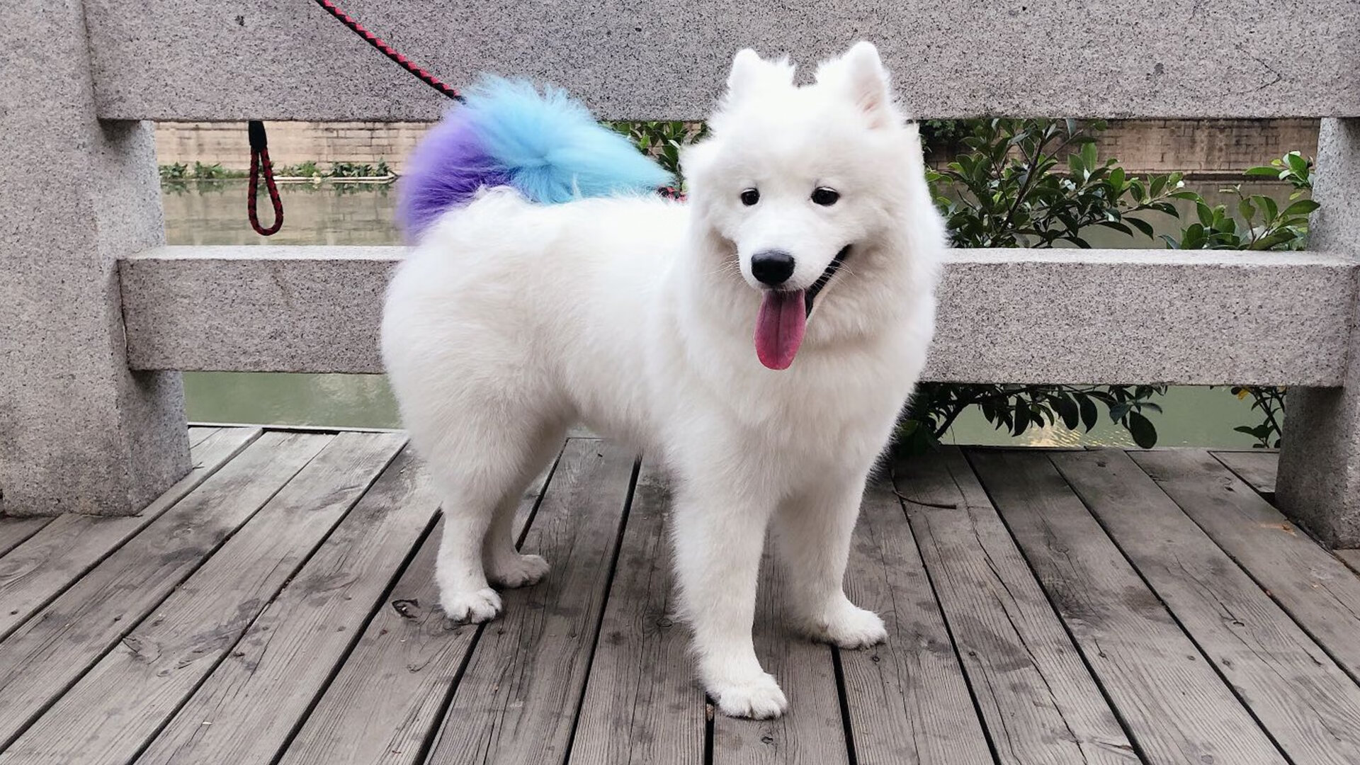 开云中国-5G加持：赛场瞬时通信革命，5g通信大会