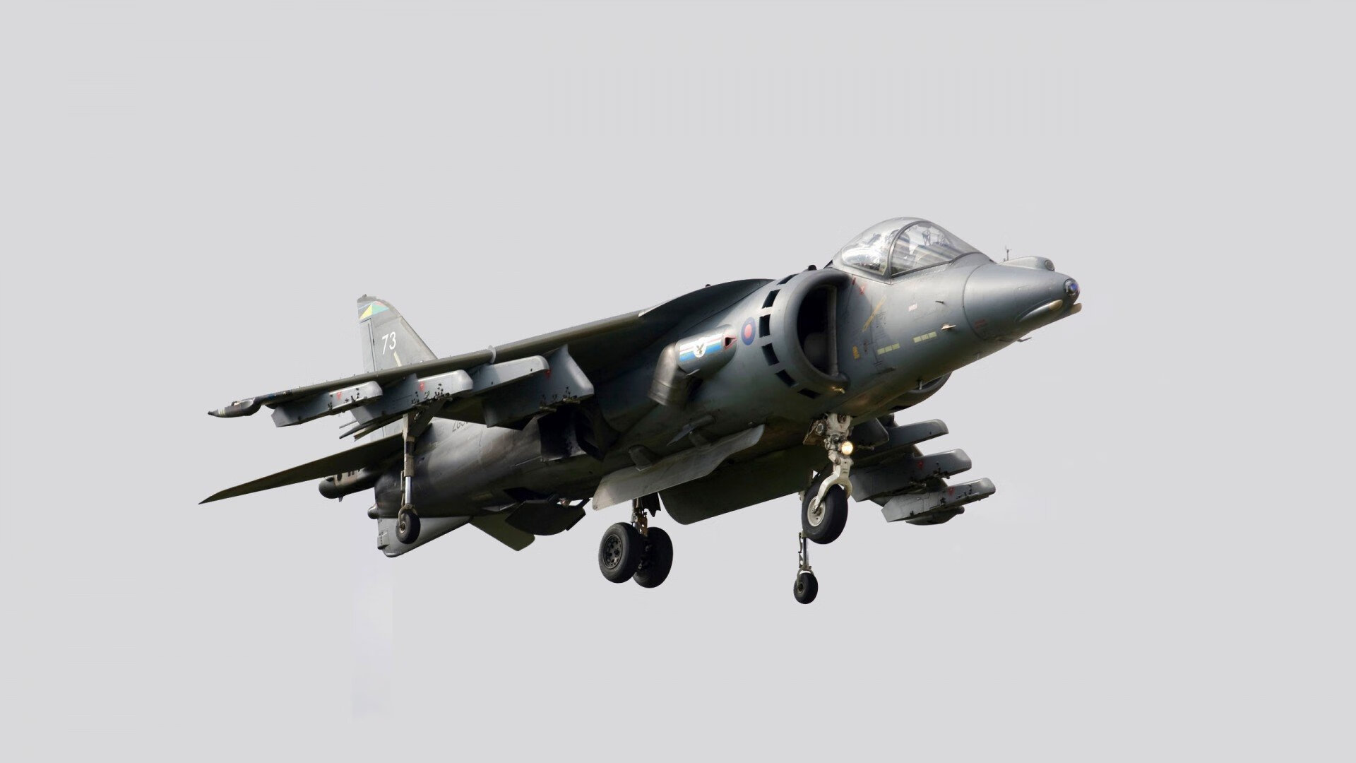 WRC赛道环境：如何适应不同地形？，wrc的赛道