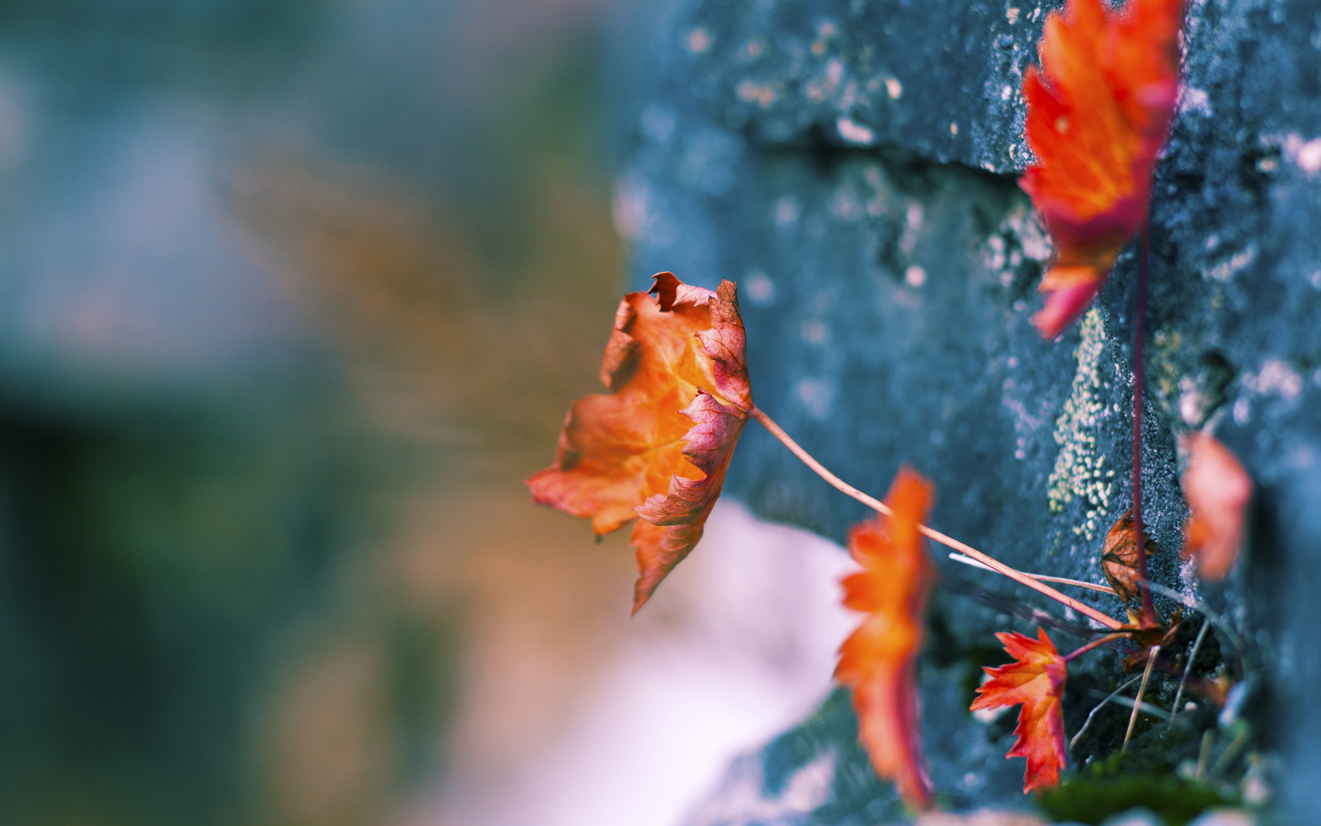 开云体育-NBA与Meta联手开发球员元宇宙训练平台，gamefi 元宇宙