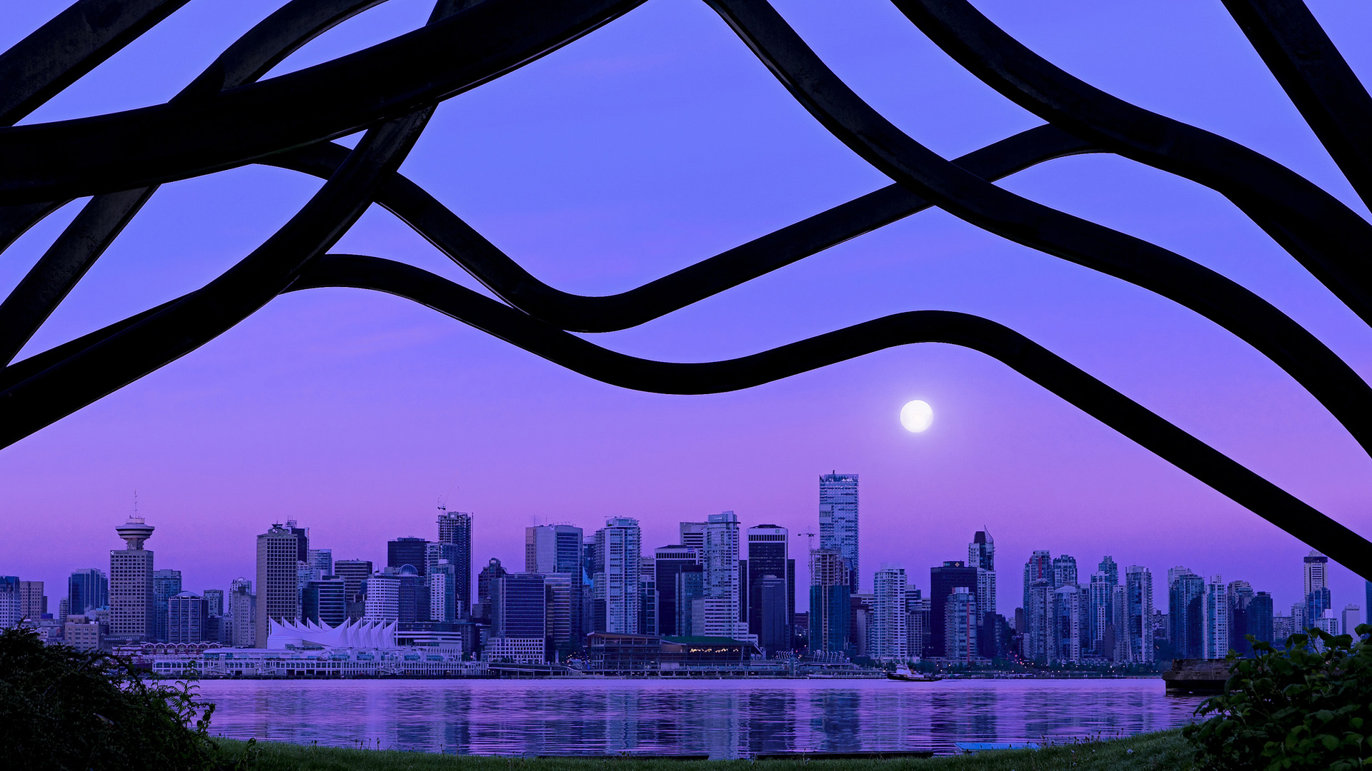 _奇才战术日益成熟,表现稳定向上_,奇才队百度百科