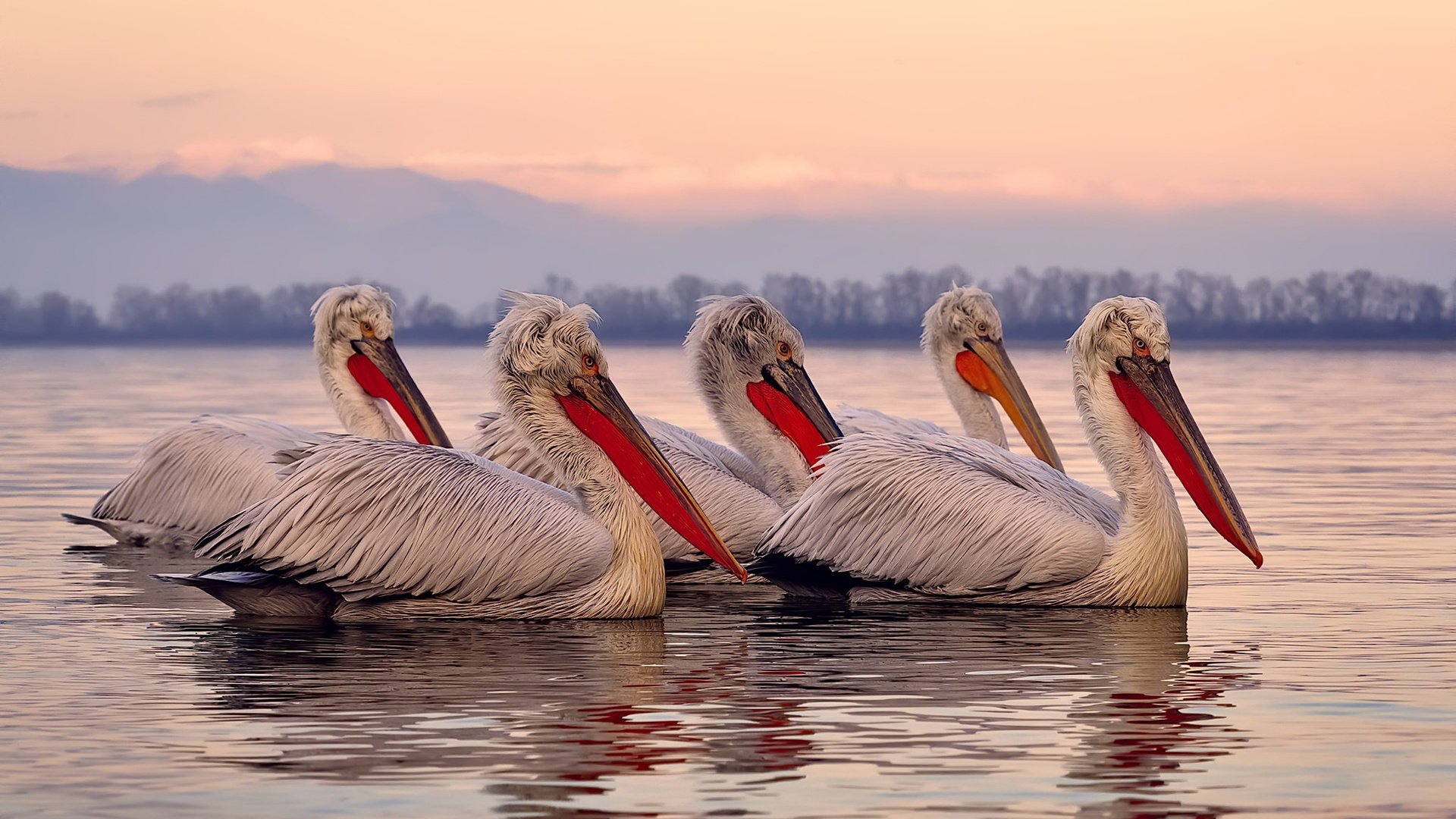 _新技术亮相:无人机全景直播高效呈现比赛_,无人机拍摄直播