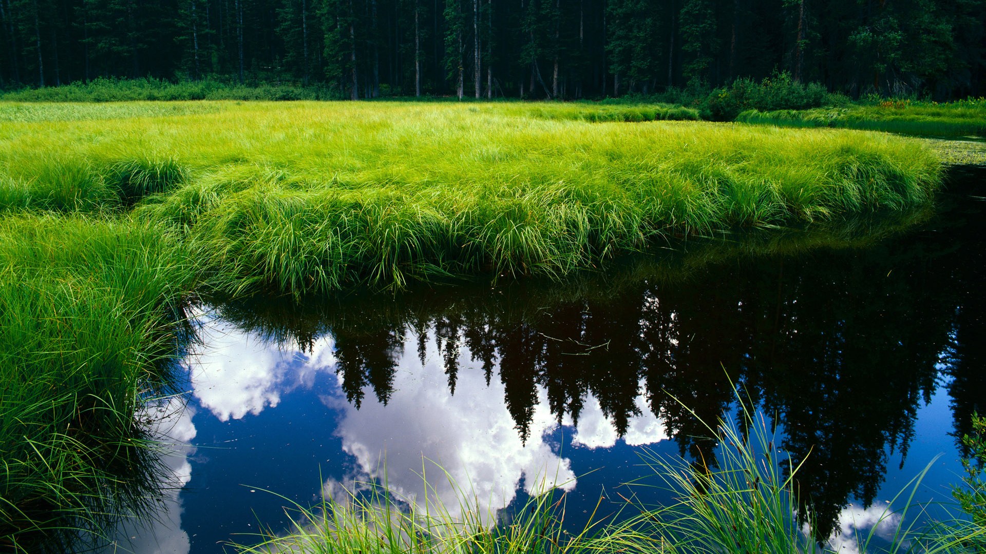 _新技术亮相:无人机全景直播高效呈现比赛_,无人机拍摄直播