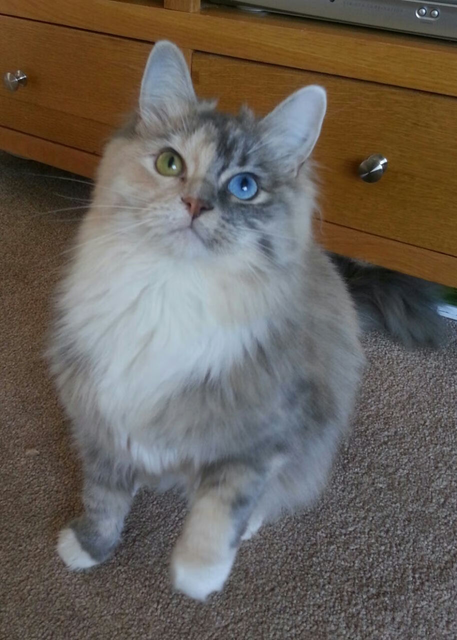 kaiyun官方网站-_篮网全队发力，继续领跑联盟_，篮网队伍