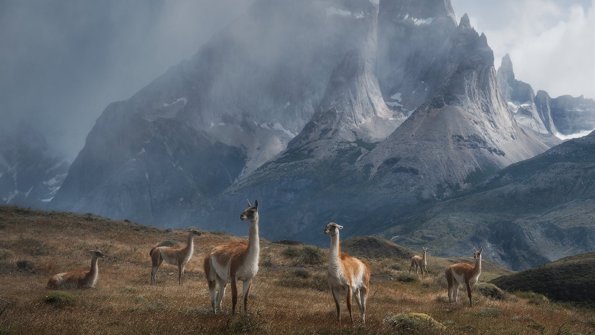 kaiyun体育app-“意甲激烈交锋：谁能夺得最终的荣誉？”，意甲介绍