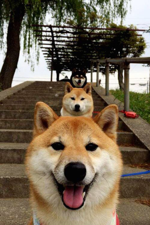 开云官网-“极速追逐”——现场实时追踪比赛动态，极速追逃