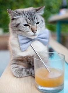 今年联盟三分命中率Top10球队都有哪些？，nba联盟三分球命中率