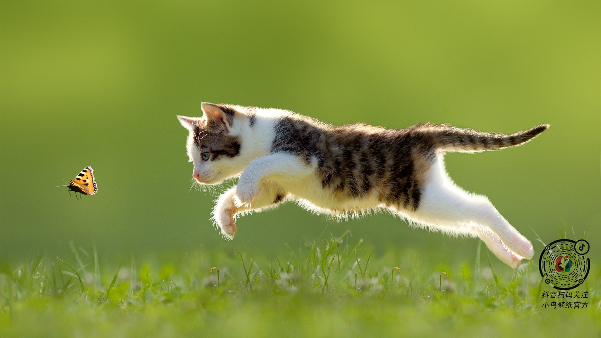 开云网站-墨西哥球迷在冰天雪地中跳“足球辣舞”，墨西哥踢足球