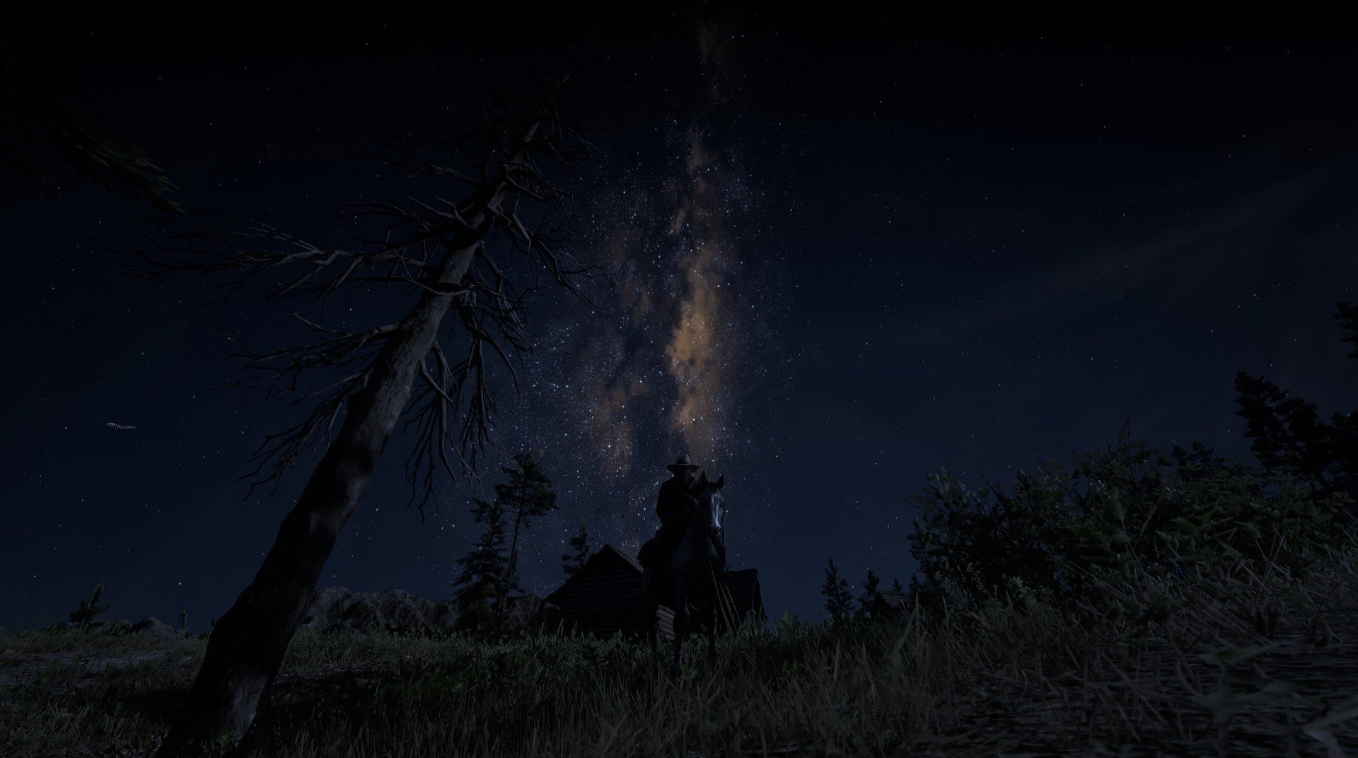 日本马术协会建立马匹基因数据库,促进马匹选育与训练。,日本赛马马种