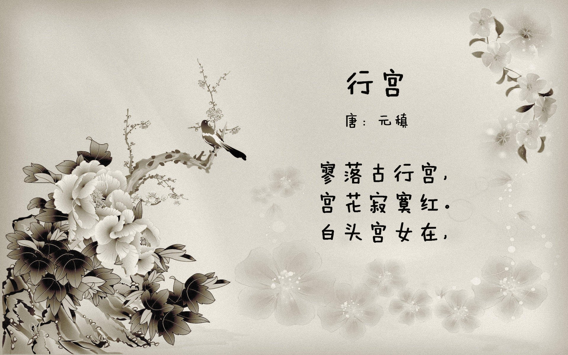 热血追逐:车迷与车手的亲密互动,热血追踪电影