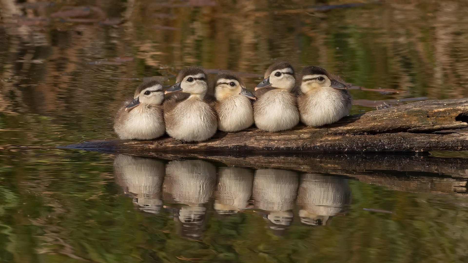 英超：利物浦2-2战平阿斯顿维拉，萨拉赫和奥巴梅杨各进一球，利物浦官方宣布与萨拉赫续约
