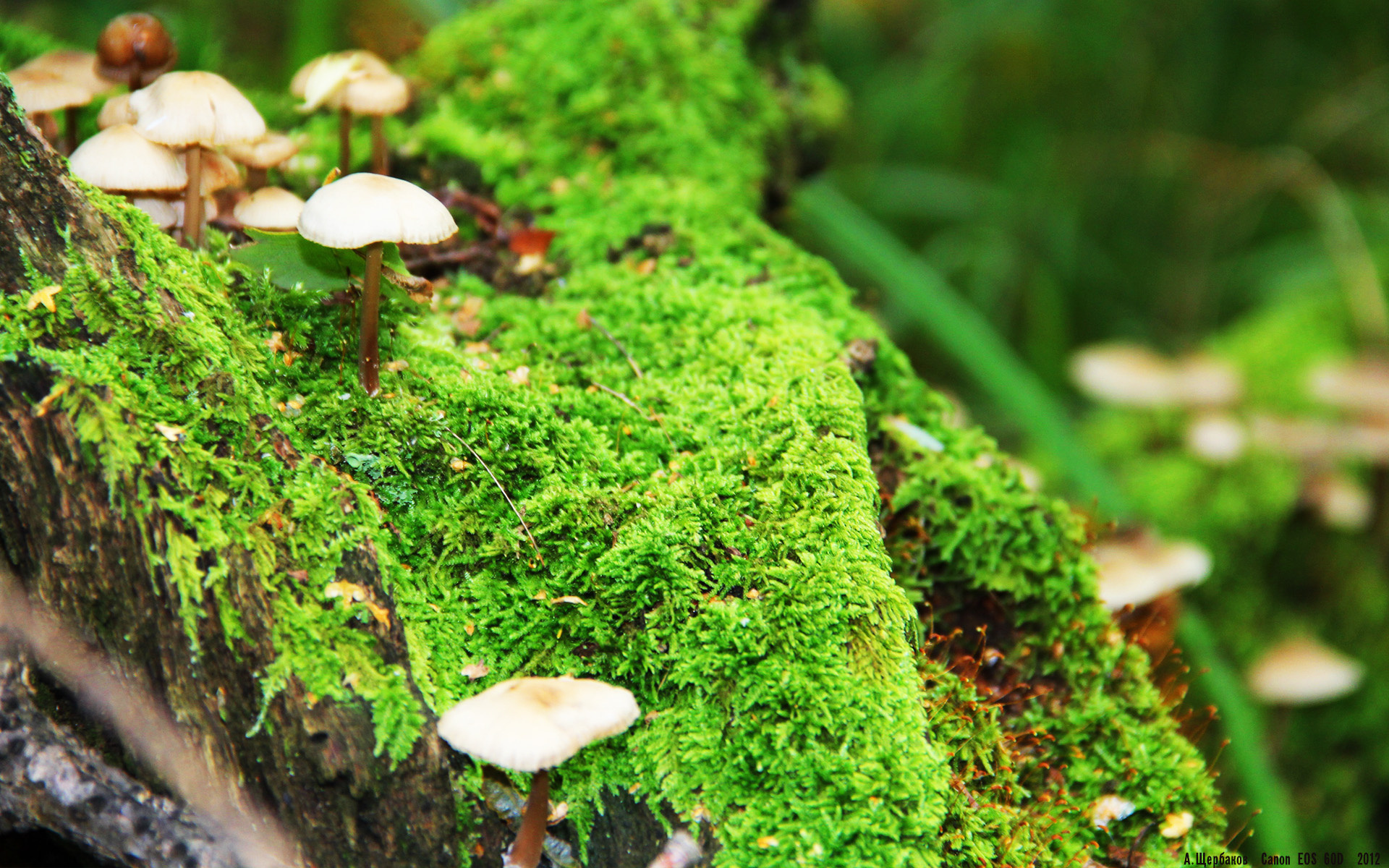 开云官方-25赛季结束后离开曼城。，德布劳内转会曼城时间