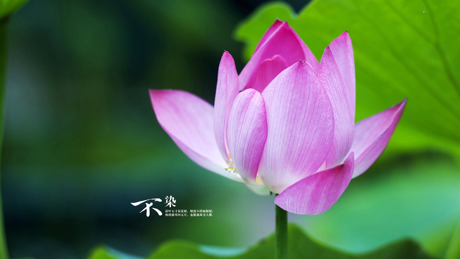 开云官方网页登录-LCS与LEC加强交流合作，lcc study proposal