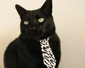 国足搏斗力量胜出，成功晋级国际比赛决赛，国足决战