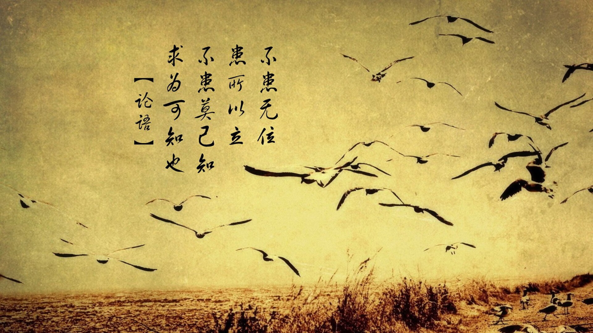 女足比赛冠军产生,球迷狂欢庆祝,女足辉煌