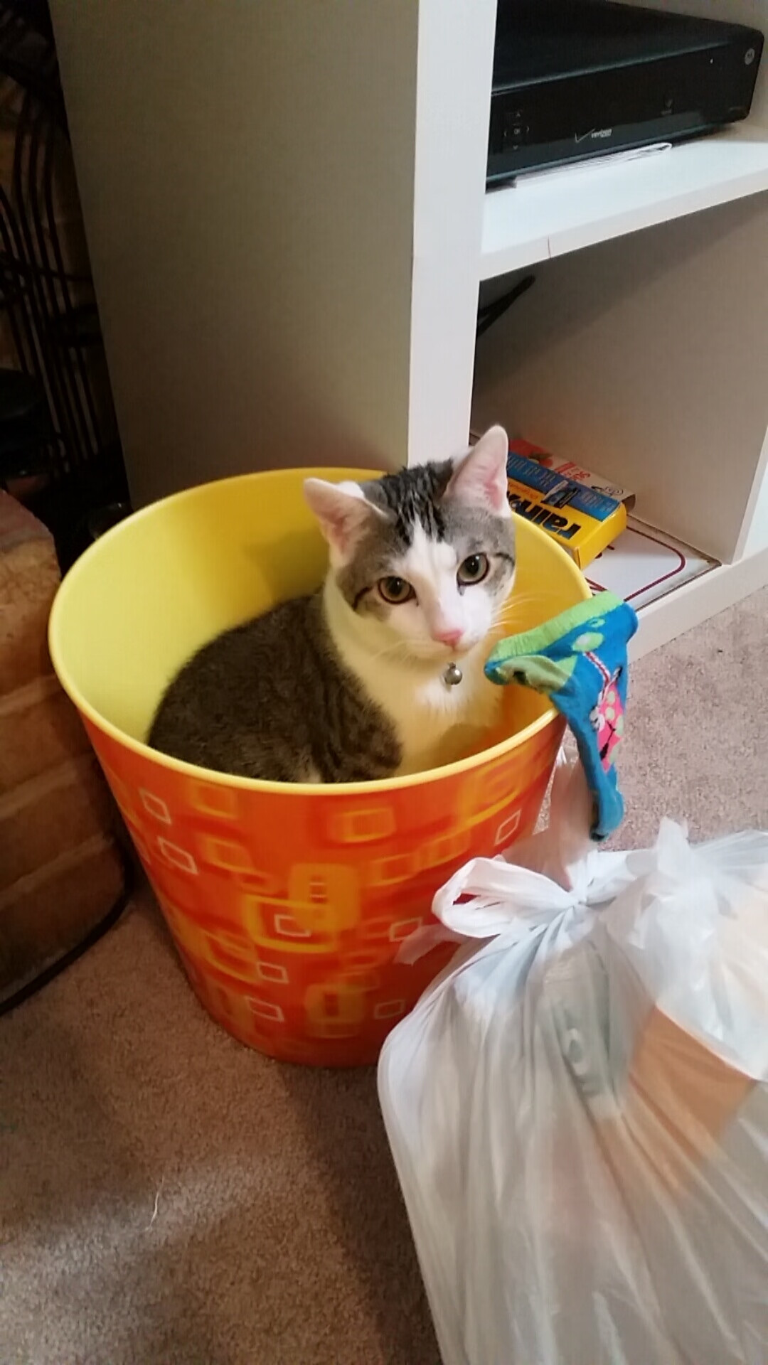 kaiyun体育app-欧洲冠军联赛小组赛拉开帷幕，赛程曝光，欧洲冠军联赛赛制