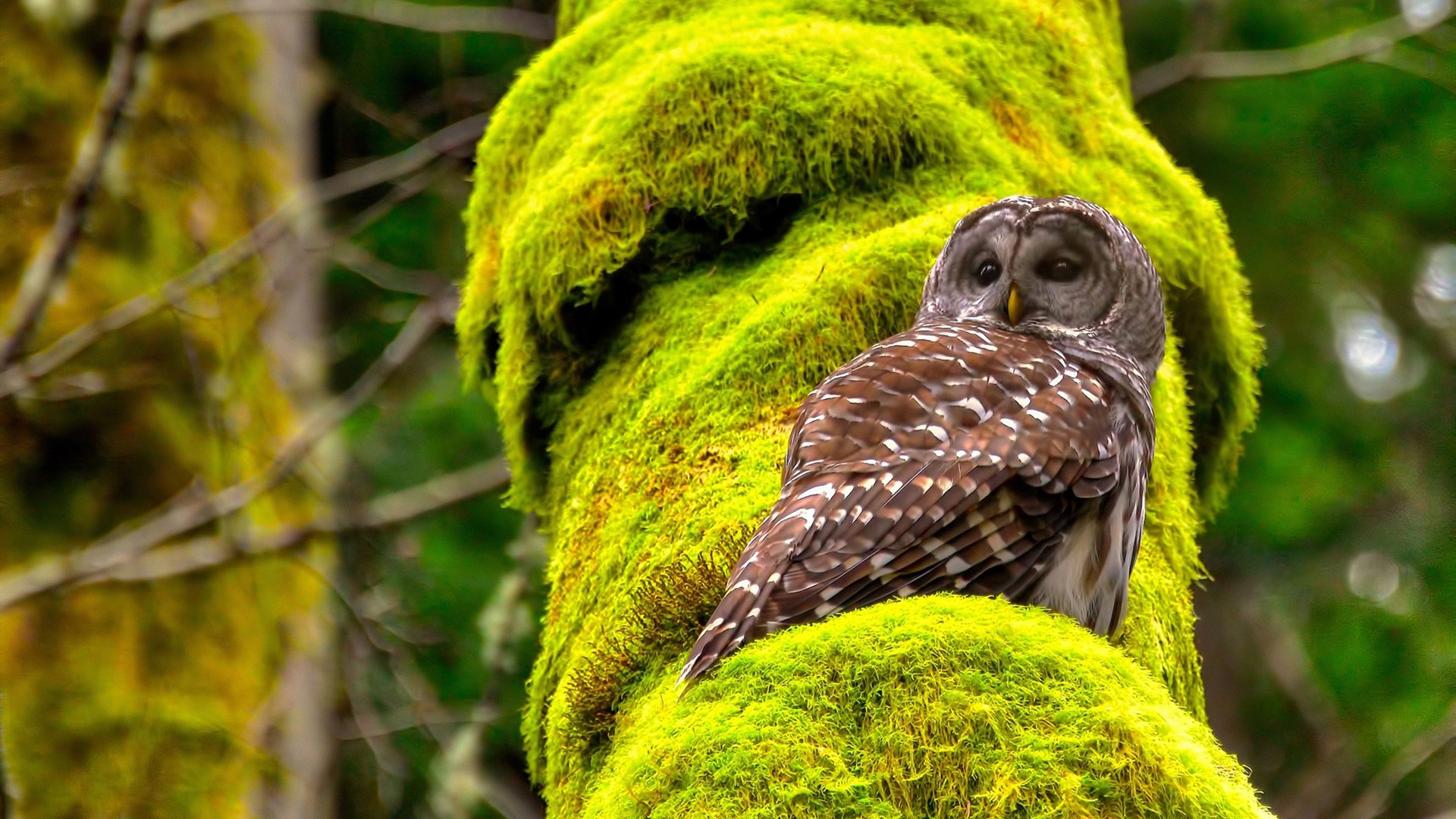 kaiyun官方入口登录-水晶宫客场逆转，避免降级危机增加，水晶宫玩法