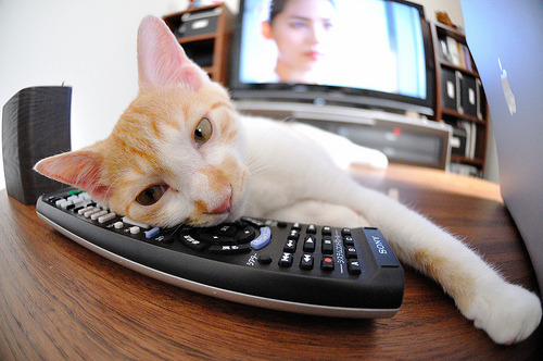 瑞士球队取得对英格兰的胜利,晋级欧国盃四强,瑞士阵容欧洲杯