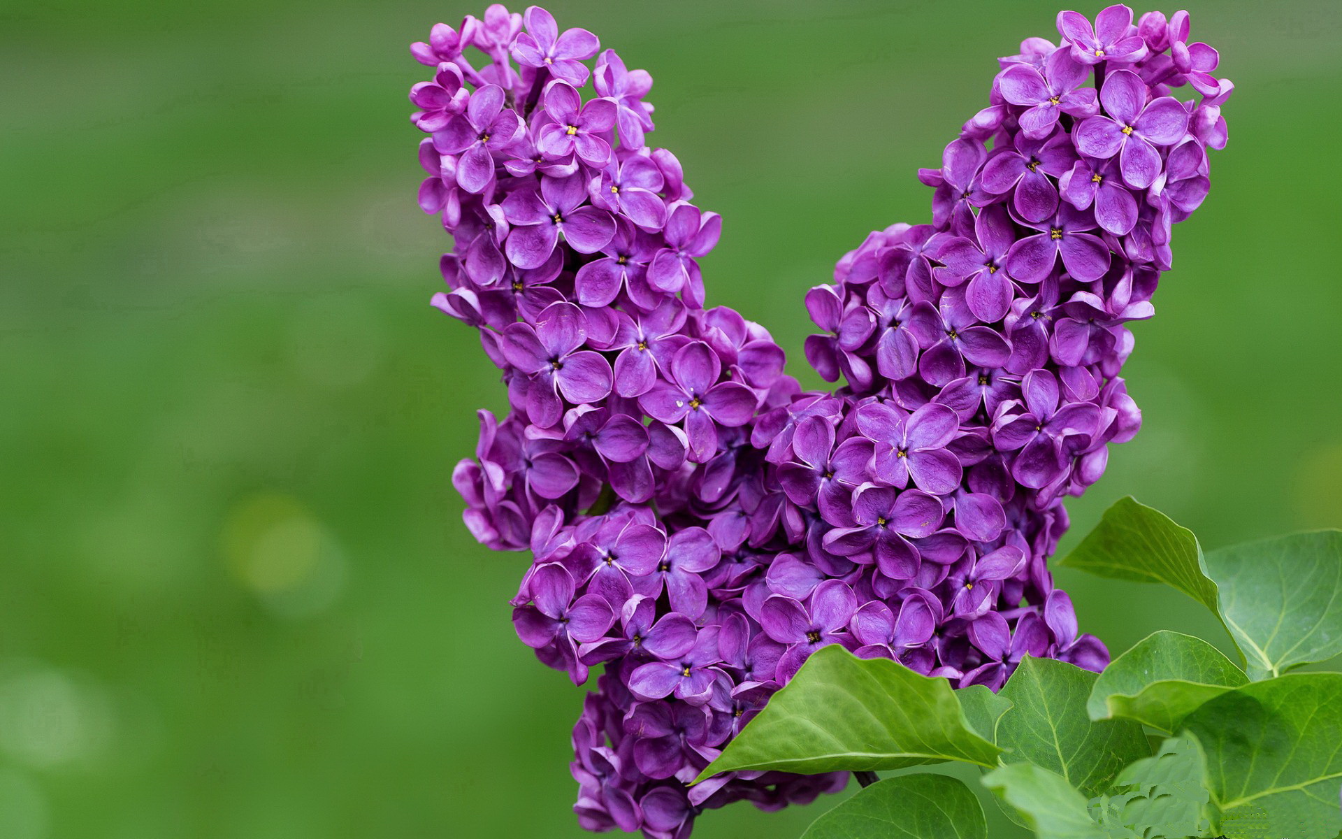 电竞赛事策划全流程:从创意到执行的实战指南,电竞赛事策划案怎么写