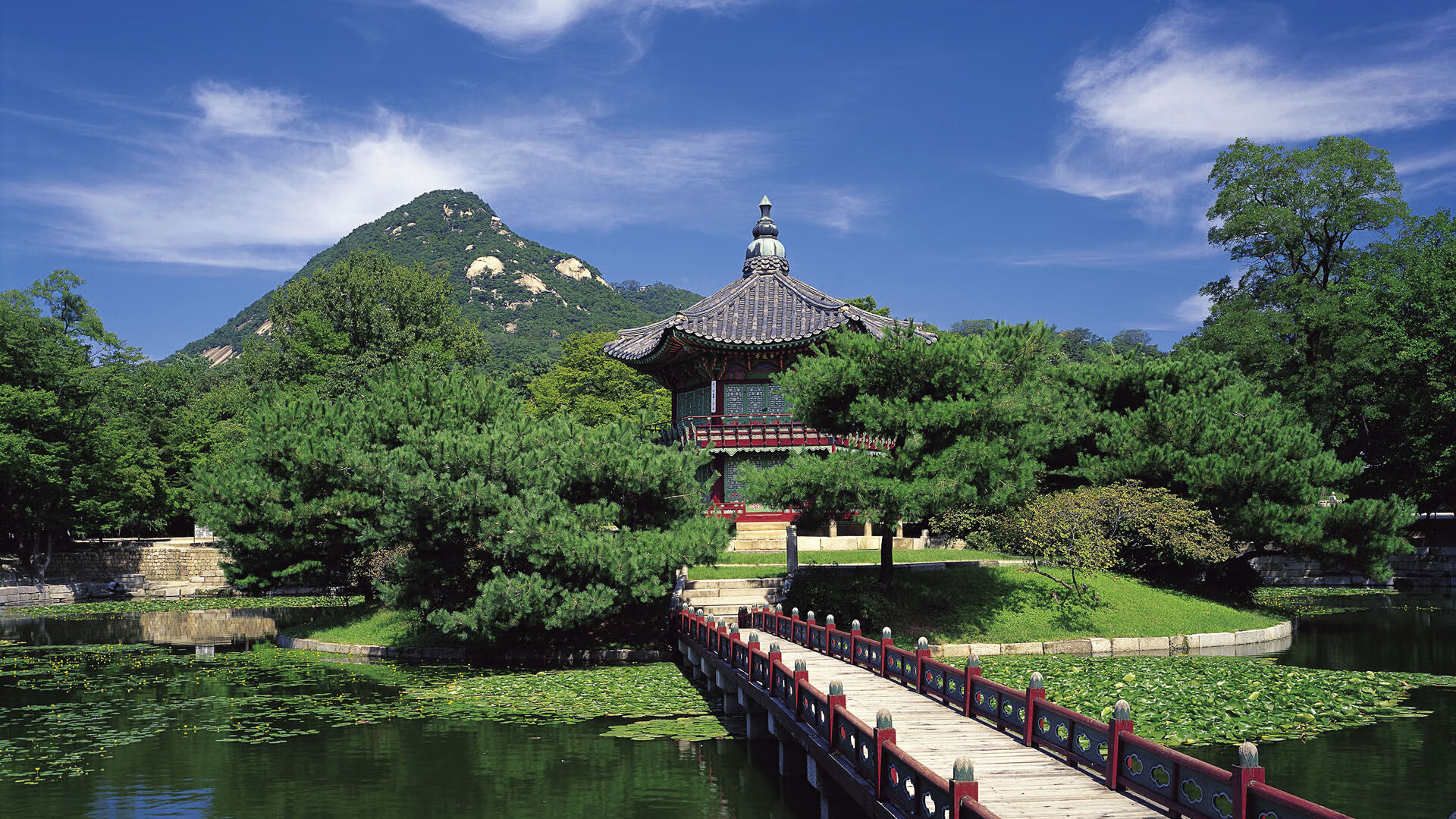 突尼斯联赛关键比赛精彩纷呈,突尼斯怎么样