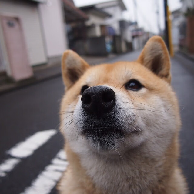 格列兹曼全场MVP，贡献关键进球，格列兹曼多高