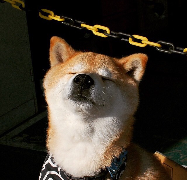 kaiyun官方入口登录-滑行阶段时间增加，技术稳步进步，什么叫滑行