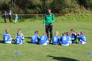 开云体育APP下载-瑞典团队战术：从快攻到慢球的多变打法，瑞典几分钟进球