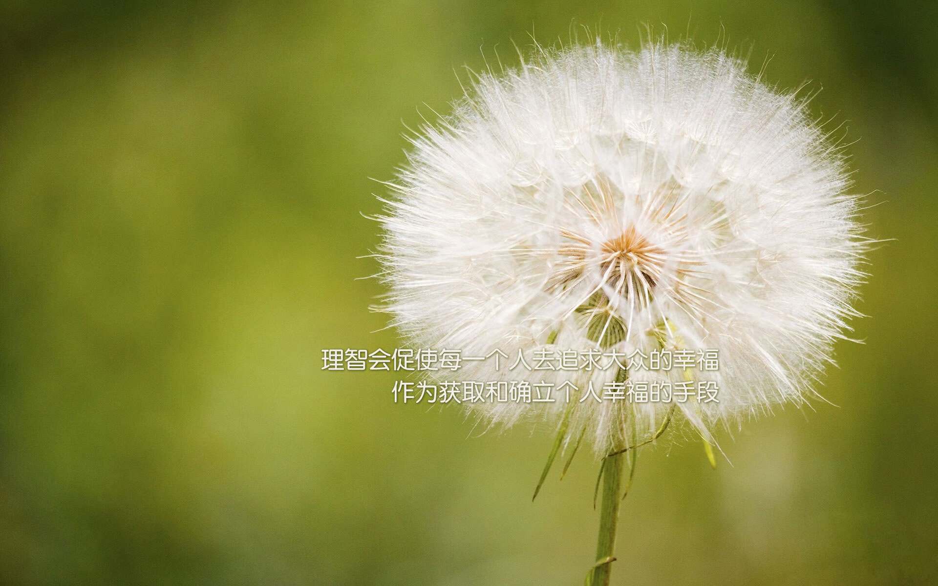 kaiyun官方入口登录-裁判团队协作提升判罚准确率，裁判组工作