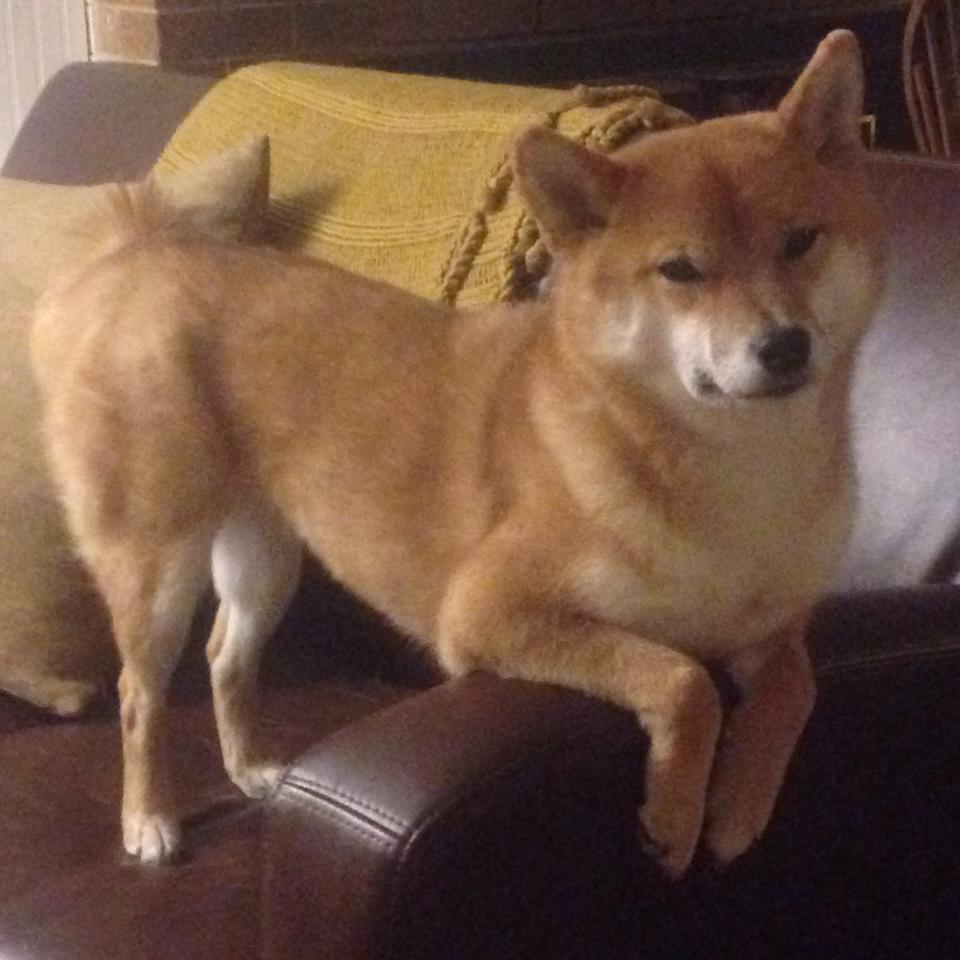 Kaiyun官方登录入口-里昂边锋插上拉扯出巨大进攻空间，里昂集锦