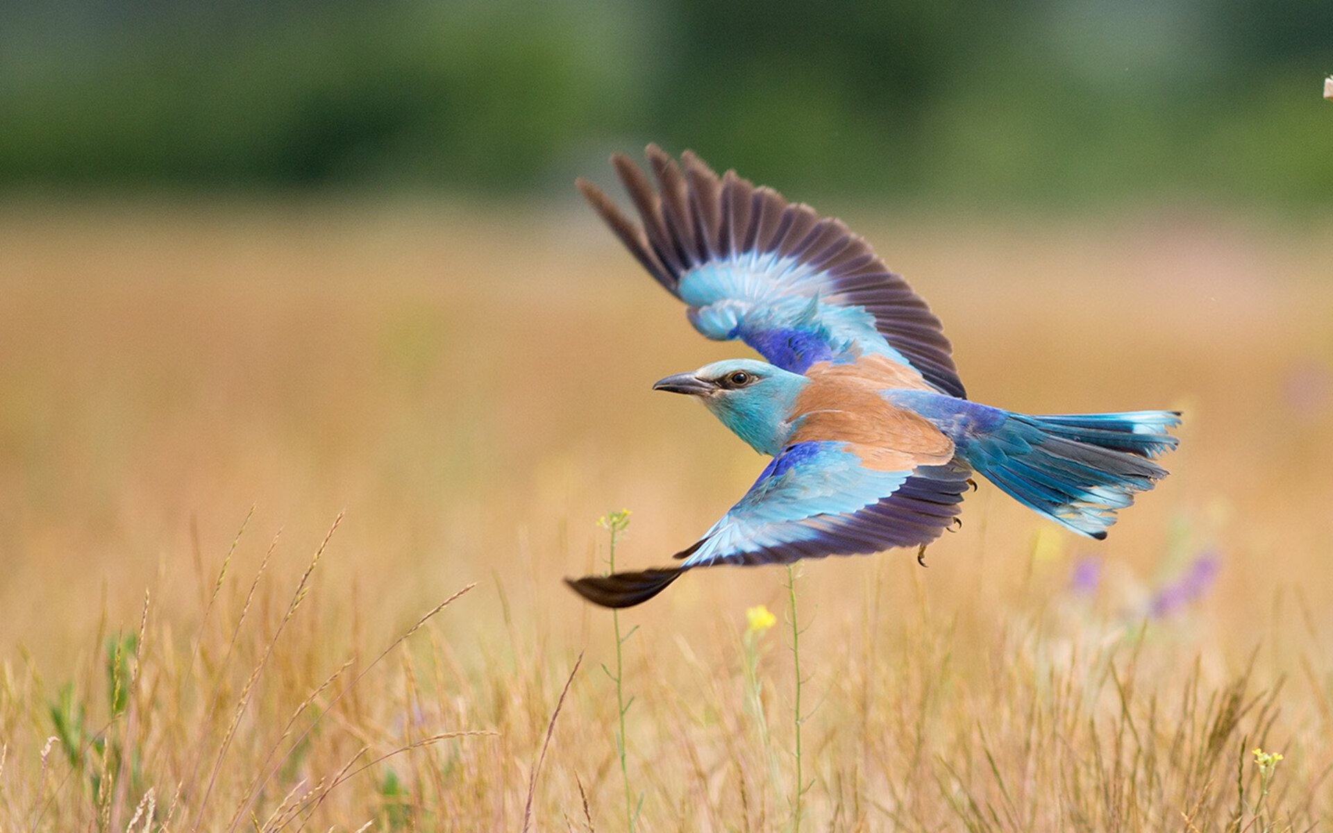 天气搅局：比赛被迫中断
