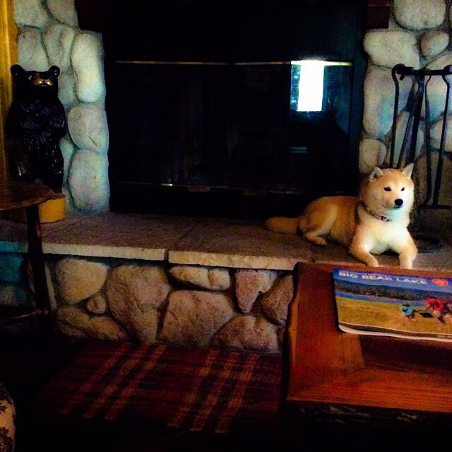 Kaiyun APP-英超激情激烈：一场攻防的视觉盛宴，英超精华集锦